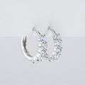 Moissanite Hoop Oorbellen