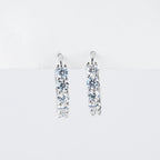 Moissanite Hoop Oorbellen